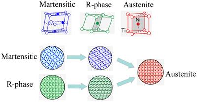 Adaptive control for shape memory alloy actuated systems with applications to human–robot interaction